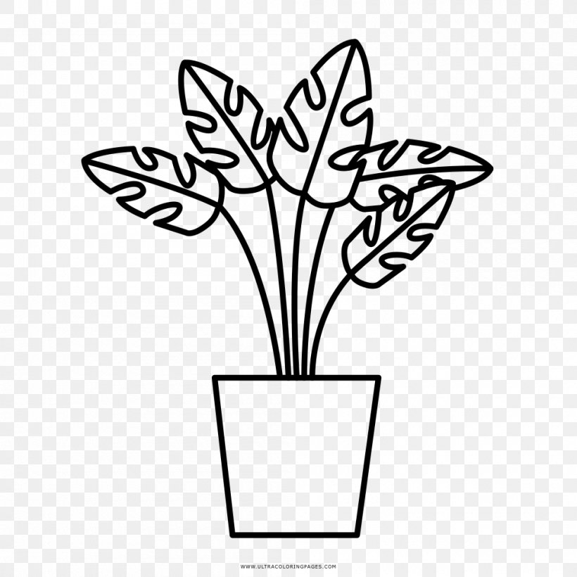 Medicinal Plants Drawing Coloring Book Leaf, PNG, 1000x1000px, Plant, Aquatic Plants, Artwork, Black And White, Branch Download Free