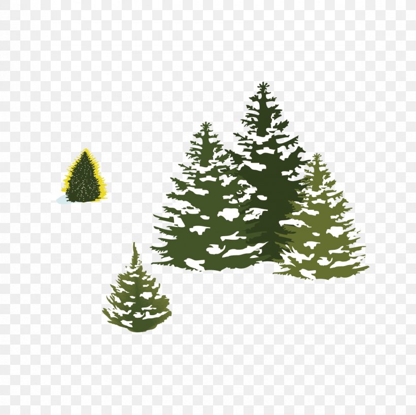 Pine Spruce Christmas Tree Snow, PNG, 1181x1181px, Pine, Christmas, Christmas Decoration, Christmas Ornament, Christmas Tree Download Free
