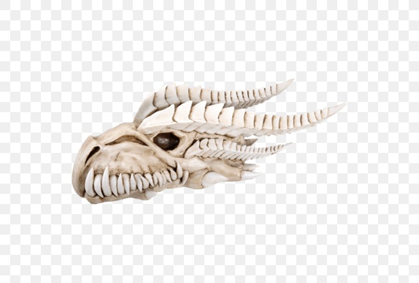 Skull Skeleton Statue Dragon Sculpture, PNG, 555x555px, Skull, Amazoncom, Bone, Collectable, Dragon Download Free