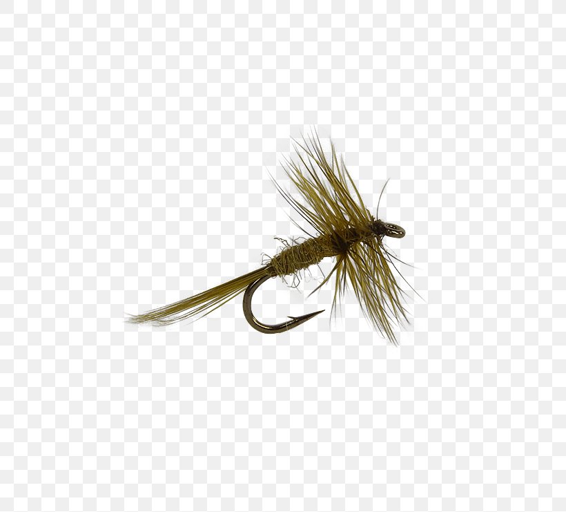 Artificial Fly Holly Flies Midge Magic Fly Fishing Nymph, PNG, 555x741px, Artificial Fly, Black Fly, Brand, Brand Ambassador, Fishing Download Free