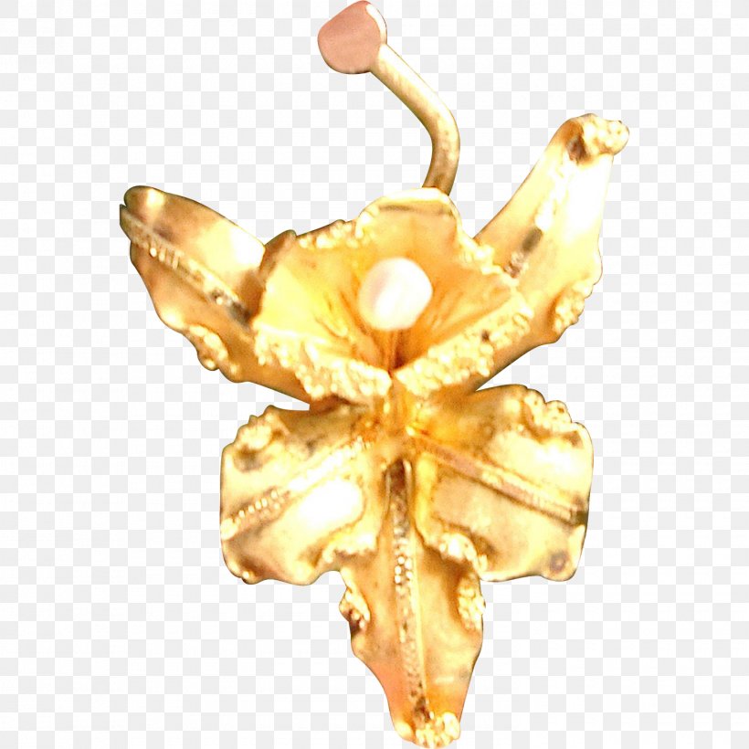 Body Jewellery Gold Metal Human Body, PNG, 1480x1480px, Jewellery, Body Jewellery, Body Jewelry, Gold, Human Body Download Free