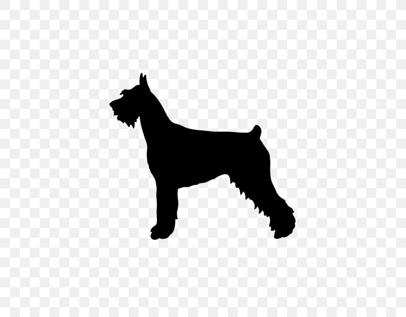 Giant Schnauzer Miniature Schnauzer Standard Schnauzer Rottweiler Pit Bull, PNG, 640x640px, Giant Schnauzer, American Kennel Club, Black, Black And White, Breed Download Free