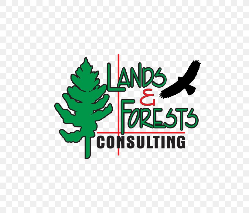 Tree Logo Forestry Forest Management, PNG, 700x700px, Tree, Brand, Canopy, Forest, Forest Management Download Free