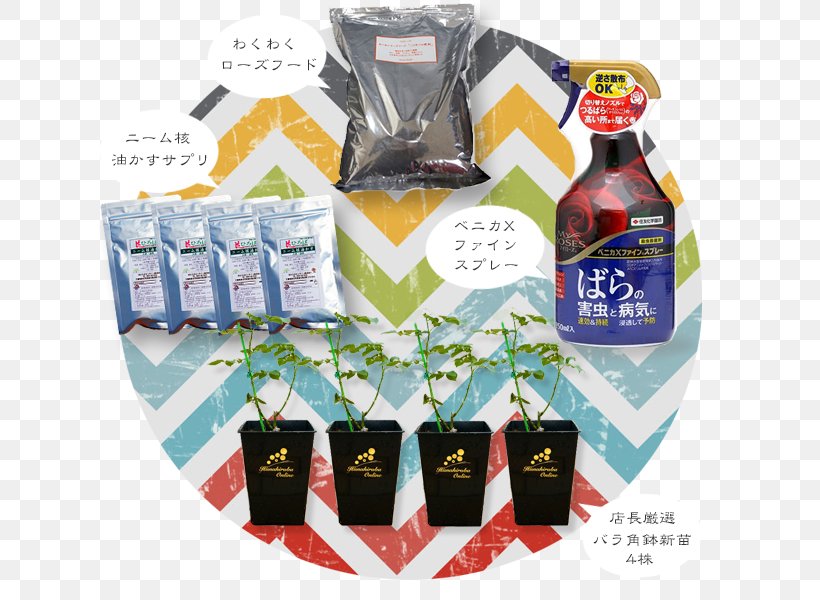 Hana Square Online (Ltd.) Horticulture Niwaki Lady Banks' Rose 苗木, PNG, 650x600px, Horticulture, Brand, Fruit, Fukubukuro, Incense Download Free