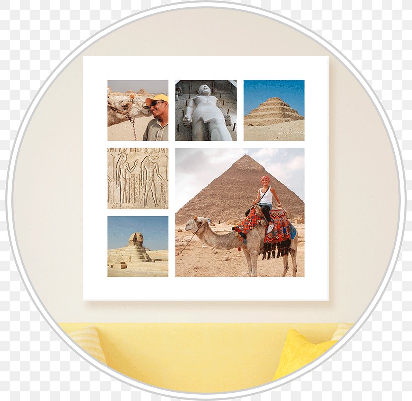 Picture Frames, PNG, 800x800px, Picture Frames, Picture Frame Download Free