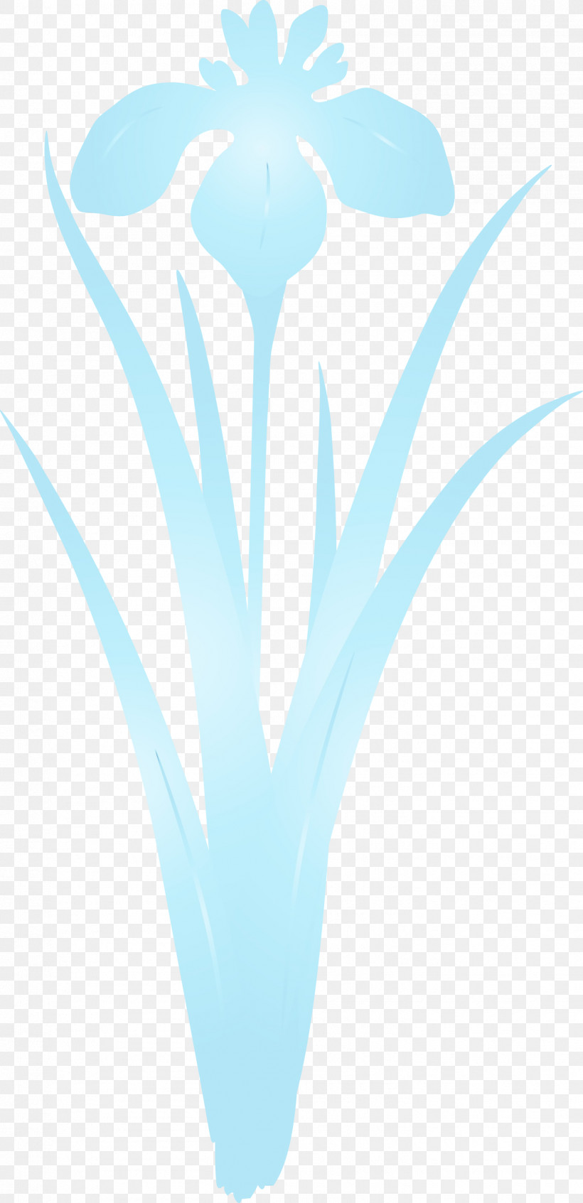 Aqua Turquoise Teal, PNG, 1453x3000px, Iris Flower, Aqua, Paint, Spring Flower, Teal Download Free