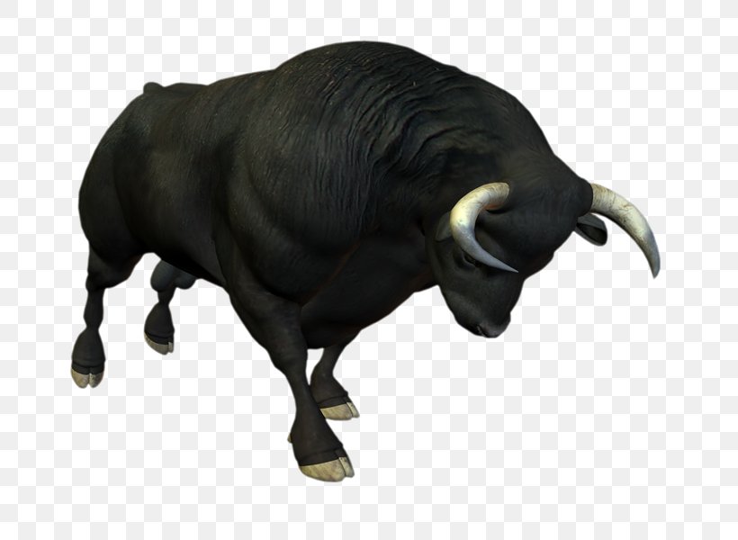 Bull Cattle Ox Bovini, PNG, 800x600px, Bull, Bovini, Bubalus, Cattle, Cattle Like Mammal Download Free