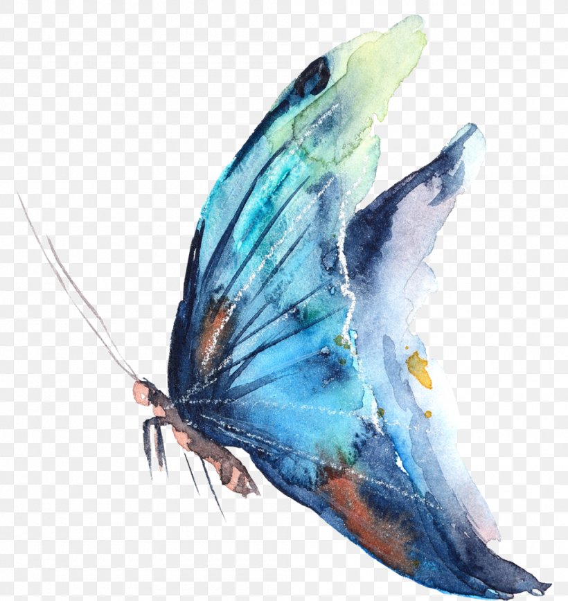 Butterfly Watercolor Painting Photography, PNG, 1000x1059px, Butterfly, Art, Drawing, Fish, Insect Download Free