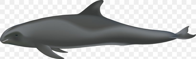 Porpoise Tucuxi Common Bottlenose Dolphin Rough-toothed Dolphin White-beaked Dolphin, PNG, 1982x606px, Porpoise, Animal Figure, Cetacea, Common Bottlenose Dolphin, Dolphin Download Free