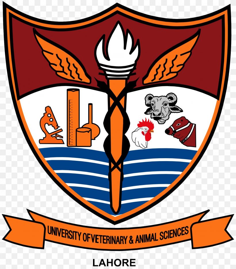 College Of Veterinary And Animal Sciences, Jhang University Of Veterinary & Animal Sciences Ravi Campus Education Student, PNG, 1541x1758px, University, Academic Degree, Animal Science, Area, Artwork Download Free