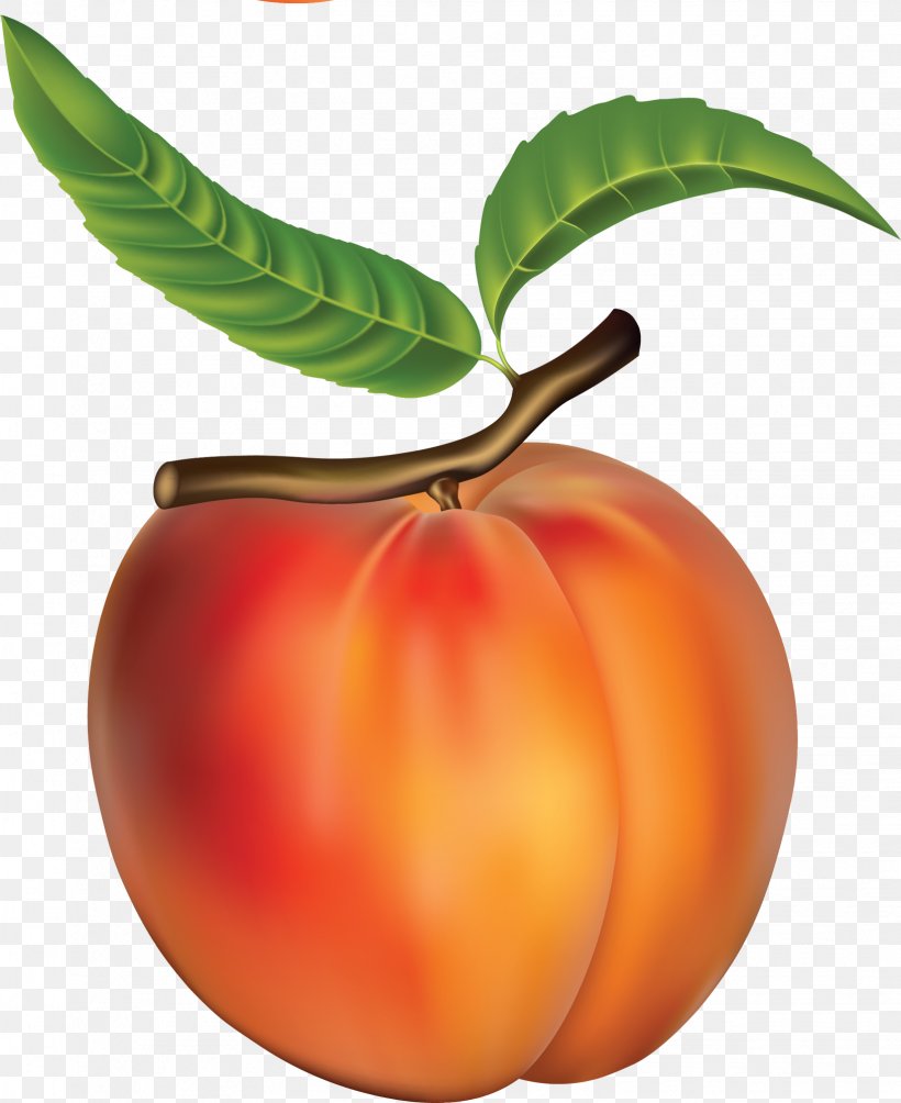 Crisp Fruit Peach Food, PNG, 1633x2000px, Crisp, Apple, Apricot, Berry, Cherry Download Free