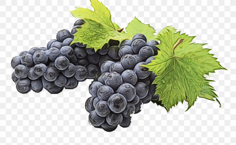 Grapes Cartoon, PNG, 1006x623px, Juice, Berry, Bilberry, Blueberry, Common Grape Vine Download Free