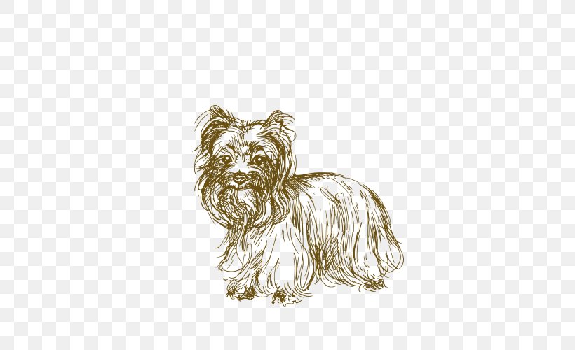 Jack Russell Terrier African Wild Dog Puppy Drawing, PNG, 500x500px, Jack Russell Terrier, African Wild Dog, Animal, Cairn Terrier, Carnivoran Download Free