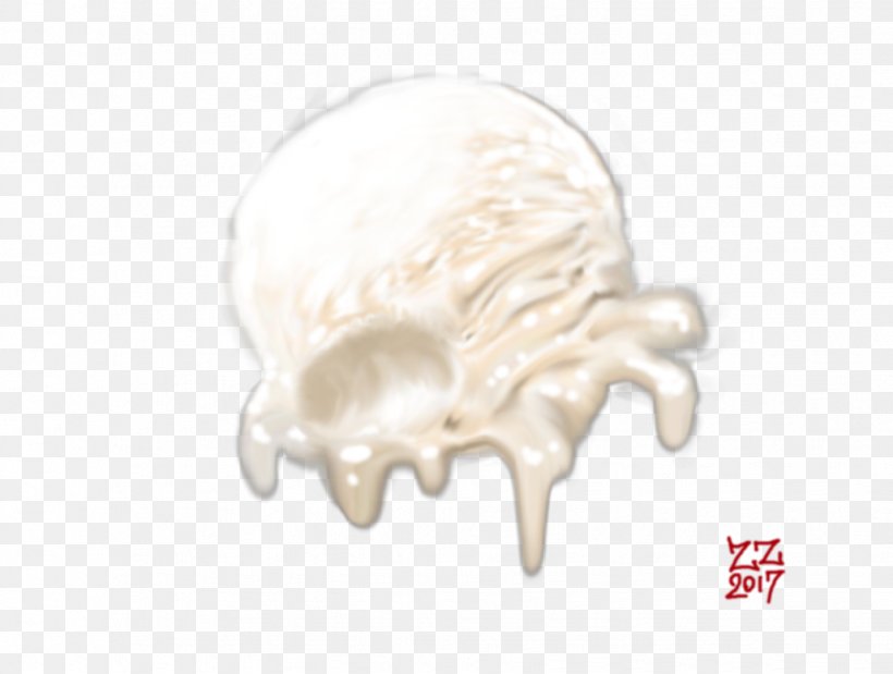 Bone, PNG, 1028x777px, Bone, Jaw Download Free