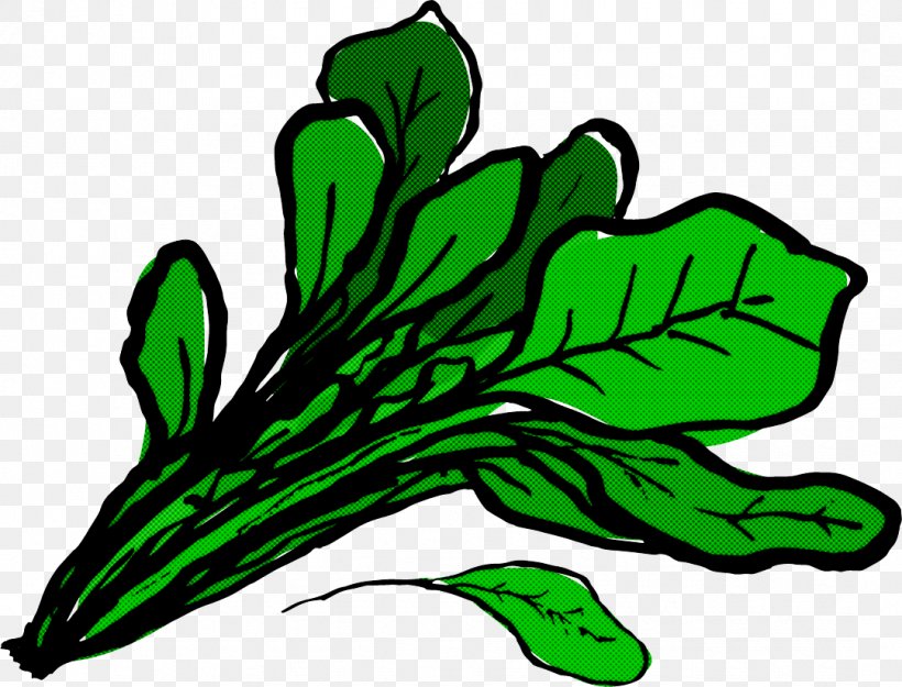 Green Leaf Plant Leaf Vegetable, PNG, 1081x825px, Green, Leaf, Leaf Vegetable, Plant Download Free