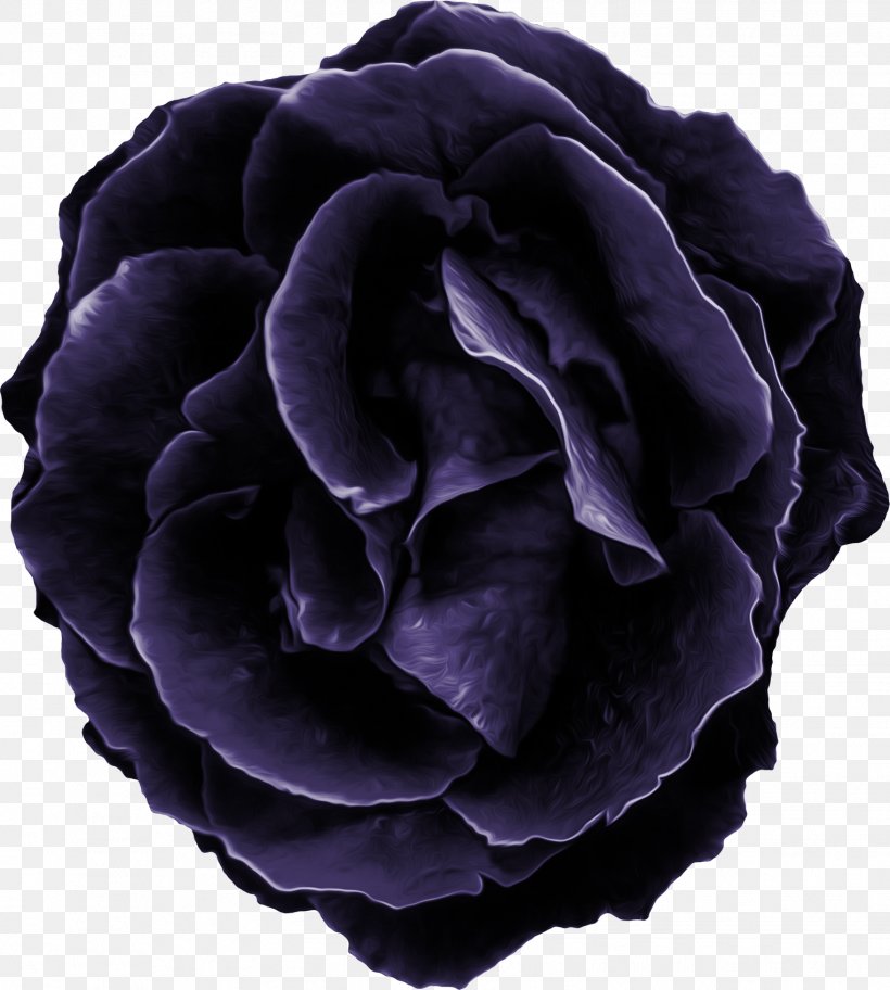 Purple Flower Violet Clip Art, PNG, 1527x1700px, Purple, Centifolia Roses, Cut Flowers, Flower, Lavender Download Free