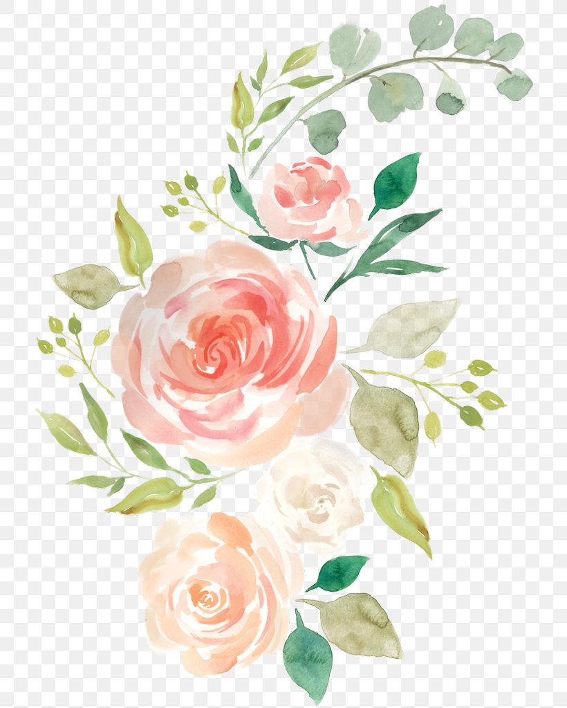 Watercolor Painting Floral Design Flower Rose, PNG, 737x1023px, Watercolor Painting, Art, Botany, Bouquet, Camellia Download Free