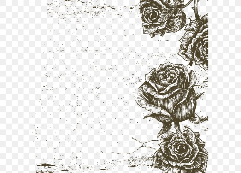 Black And White Beach Rose Visual Arts, PNG, 599x588px, Black And White, Art, Beach Rose, Black, Drawing Download Free