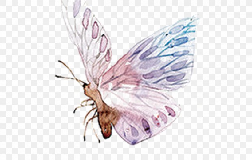 Butterfly Watercolor Painting Cartoon, PNG, 1260x800px, Butterfly, Arthropod, Cartoon, Color, Creative Work Download Free