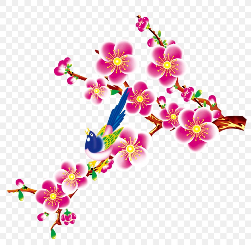 Fu Chinese New Year Download, PNG, 800x800px, Chinese New Year, Blossom, Body Jewelry, Branch, Cherry Blossom Download Free