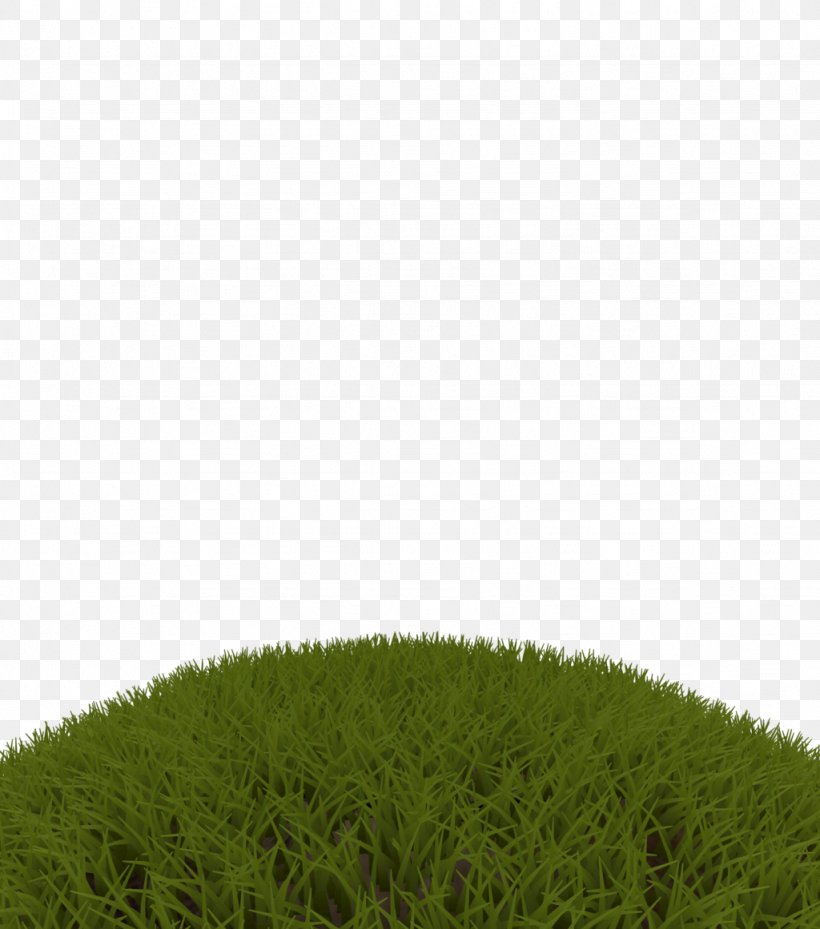 Lawn Grasses Grassland Sky Plc Family, PNG, 1024x1161px, Lawn, Family, Grass, Grass Family, Grasses Download Free