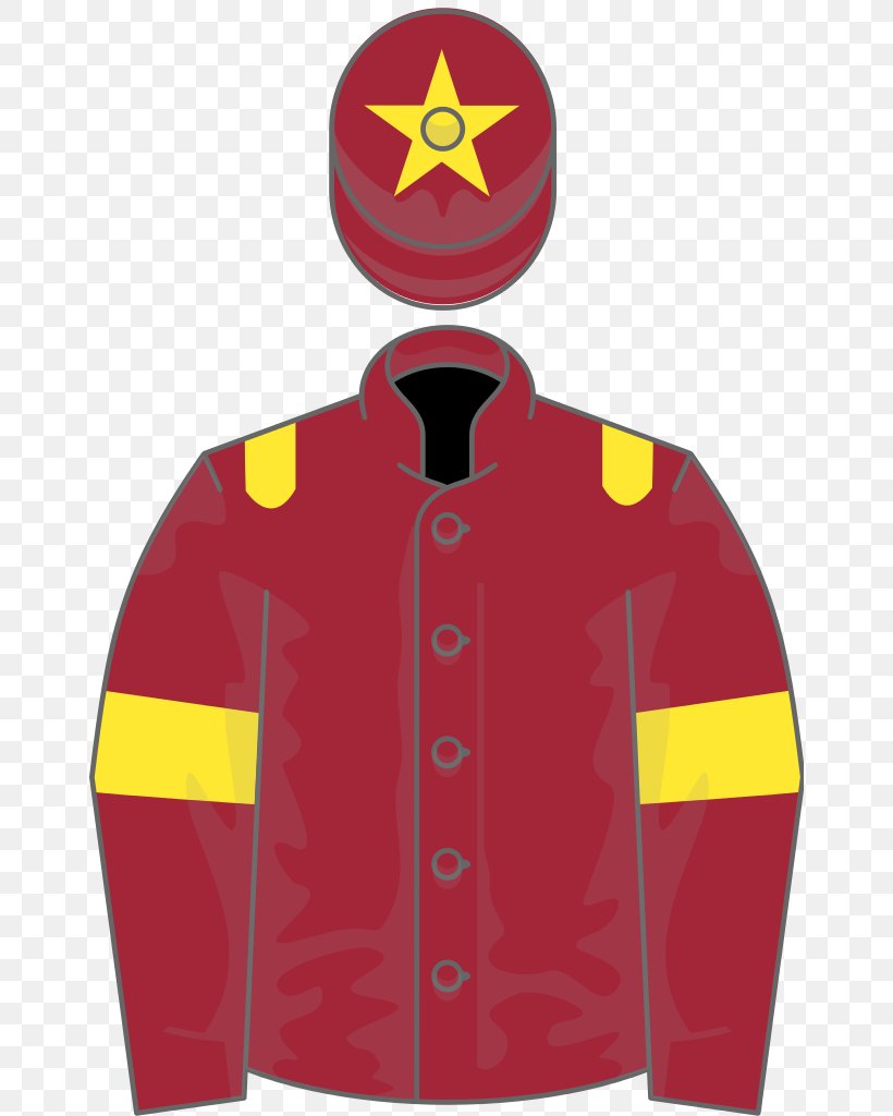 Thoroughbred Horse Racing 2018 Grand National 2016 Grand National, PNG, 656x1024px, 2018 Grand National, Thoroughbred, Bay, Grand National, Hood Download Free