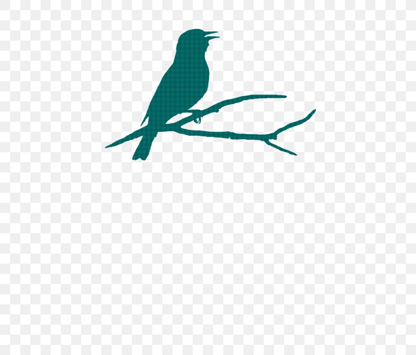 Beak Teal Turquoise Feather Clip Art, PNG, 452x700px, Beak, Bird, Branch, Fauna, Feather Download Free