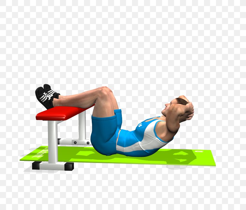 Crunch Bench Exercise Bauchmuskulatur Weight Training, PNG, 700x700px, Watercolor, Cartoon, Flower, Frame, Heart Download Free