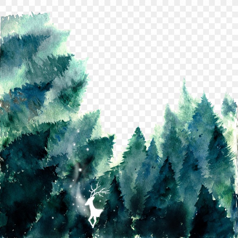 Forest Watercolor Painting If(we), PNG, 1200x1200px, Forest, Biome, Conifer, Evergreen, Fir Download Free