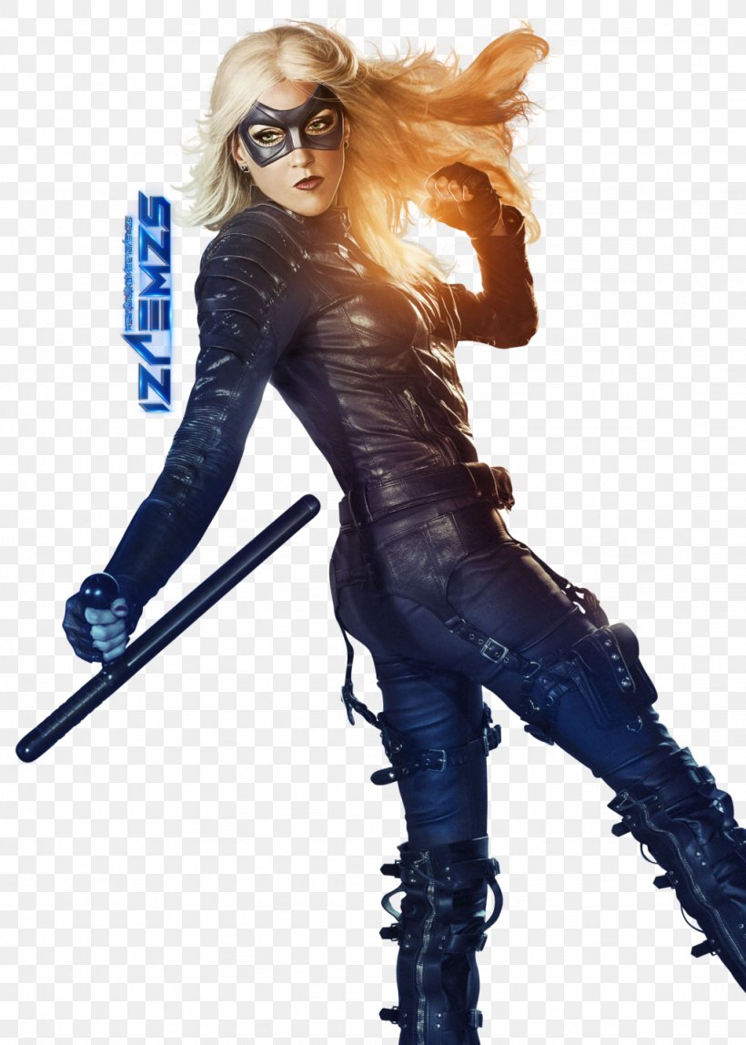 Green Arrow And Black Canary Green Arrow And Black Canary Flash Vs. Arrow Comics, PNG, 1024x1434px, Black Canary, Arrow Season 3, Arrowverse, Character, Comic Book Download Free