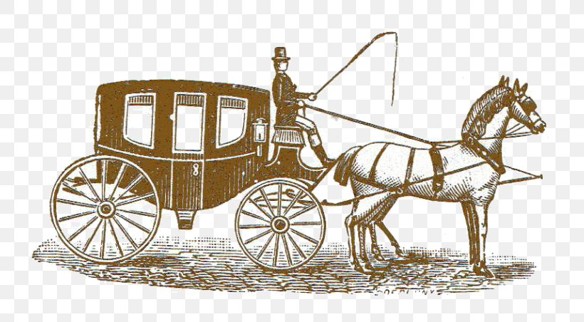 Horse Stagecoach Alda's Magnolia Hill Carriage Clip Art, PNG, 800x452px, Horse, Carriage, Cart, Chariot, Coach Download Free