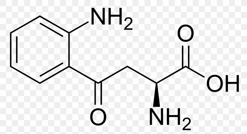 Kynurenine Amino Acid Tryptophan Phenylalanine, PNG, 1920x1046px, Kynurenine, Alanine, Amino Acid, Area, Betamethylaminolalanine Download Free