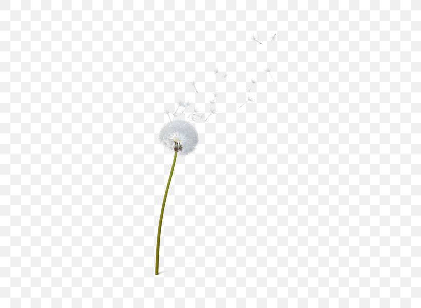 Lighting Product Design Flower, PNG, 600x600px, Lighting, Flower, Plant, Sky, Sky Plc Download Free