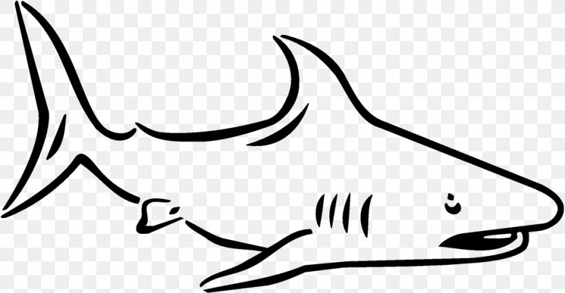 Tiger Shark Clip Art Coloring Book Drawing, PNG, 1000x520px, Shark, Area, Art, Artwork, Beak Download Free