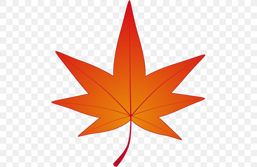 Autumn Leaf Color Maple, PNG, 491x535px, Autumn Leaf Color, Autumn, Flowering Plant, Ginkgo Biloba, Leaf Download Free