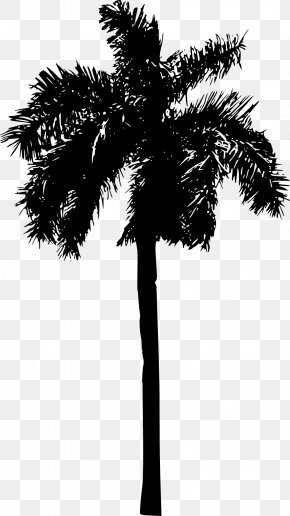 Blackandwhite Peach Palm - Coconut Tree Drawing PNG