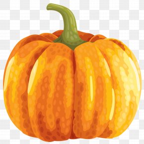Large Autumn Pumpkin Clipart Image - Field Pumpkin Clip Art PNG