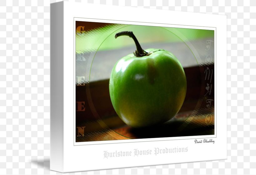 Granny Smith Technology, PNG, 650x561px, Granny Smith, Apple, Fruit, Technology Download Free