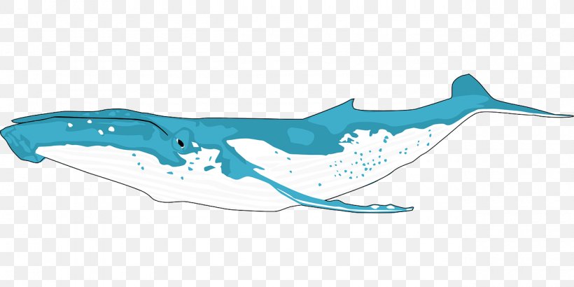 Humpback Whale Killer Whale Clip Art, PNG, 1280x640px, Humpback Whale, Aqua, Blue, Blue Whale, Cartoon Download Free