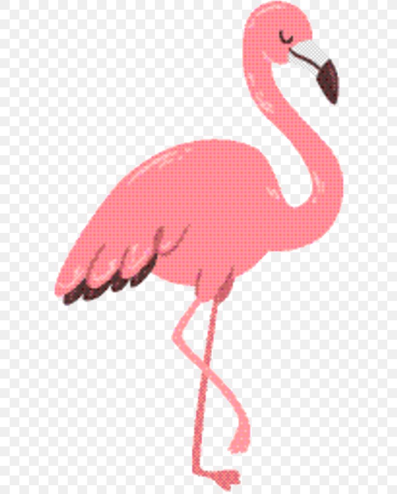 Pink Flamingo, PNG, 613x1018px, Phoenicopterus, Animal, Beak, Bird, Color Download Free