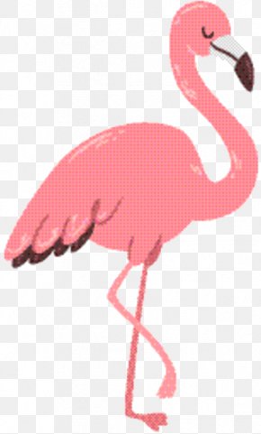 Bird Roblox Crane Pink Flamingo Png 2400x3200px Bird Art Beak - flamingo bird roblox