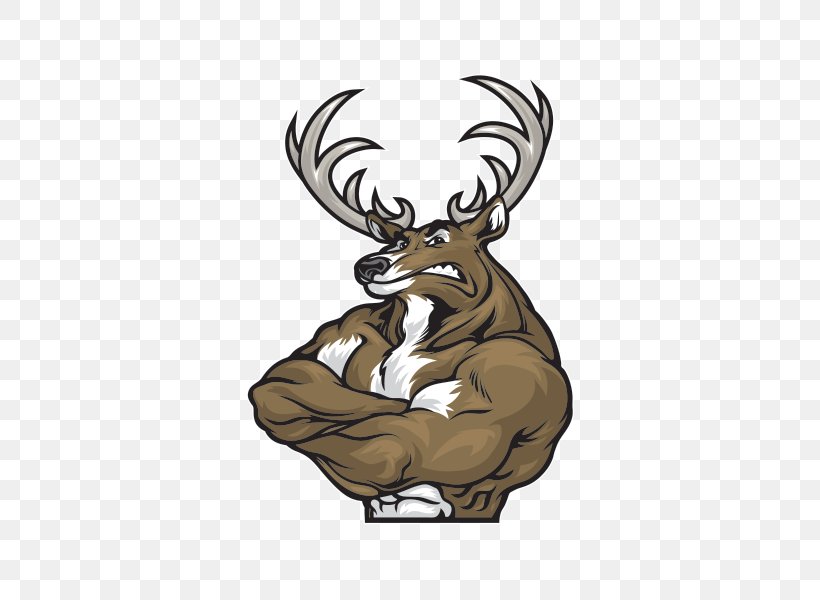 Reindeer Elk Roe Deer Muscle, PNG, 600x600px, Reindeer, Anatomy, Antler, Bodybuilding, Deer Download Free