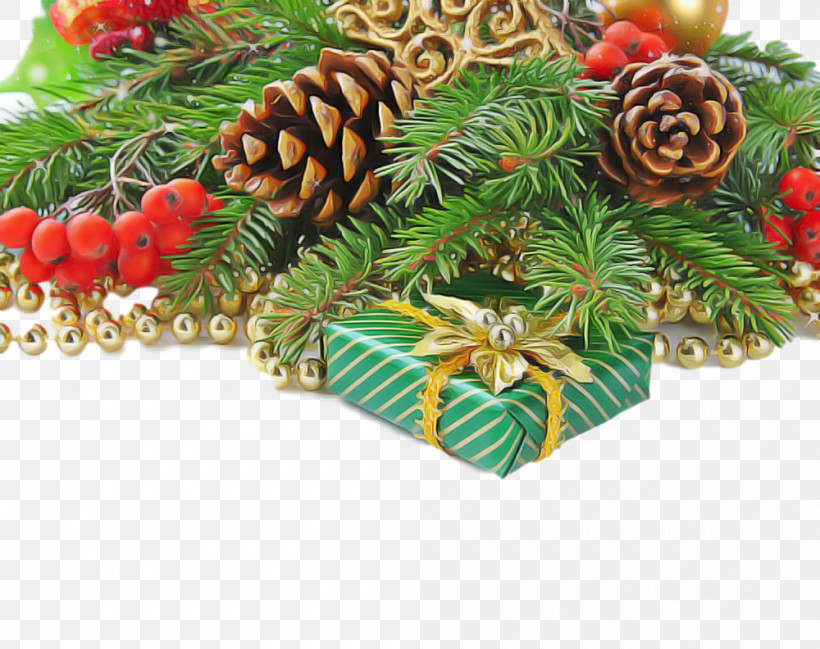Christmas Decoration, PNG, 1000x792px, Oregon Pine, Branch, Christmas Decoration, Christmas Ornament, Conifer Download Free
