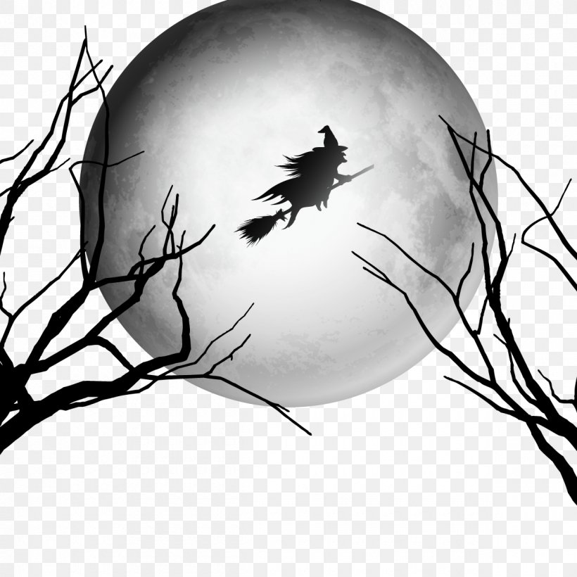 Halloween Witchcraft Party, PNG, 1200x1200px, Halloween, Bird, Black And White, Branch, Haunted Attraction Download Free