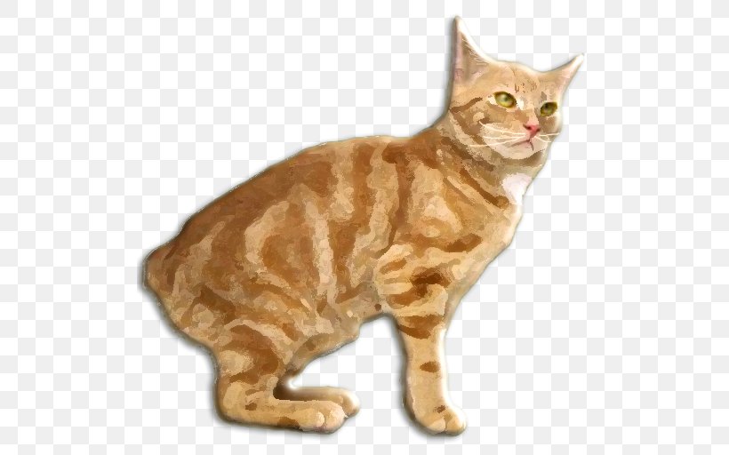 Manx Cat Cymric Cat American Bobtail Cornish Rex American Shorthair, PNG, 512x512px, Manx Cat, American Bobtail, American Curl, American Shorthair, American Wirehair Download Free