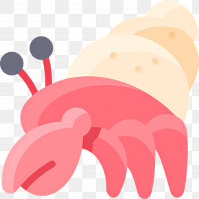Crab - Cute Hermit Crab Illustration PNG