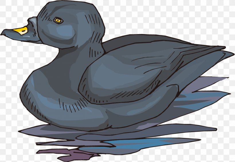 Mallard Duck Adobe Photoshop Design, PNG, 1150x793px, Mallard, Beak, Bird, Cartoon, Color Download Free