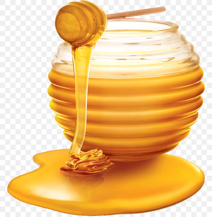 Western Honey Bee Clip Art, PNG, 766x840px, Western Honey Bee, Bee, Flavor, Honey, Honey Bee Download Free