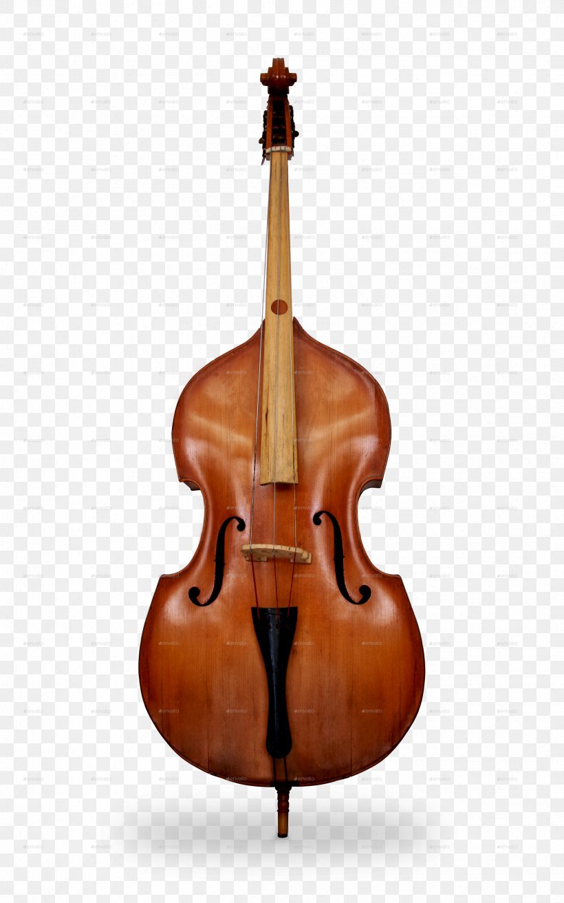 Bass Violin Double Bass Violone Viola Bass Guitar, PNG, 2500x4000px, Watercolor, Cartoon, Flower, Frame, Heart Download Free
