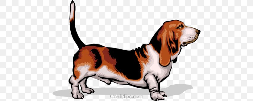 Dog Popliteal Lymph Nodes Lymphatic System, PNG, 480x327px, Dog, Anatomy, Animal, Basset Hound, Beagle Download Free